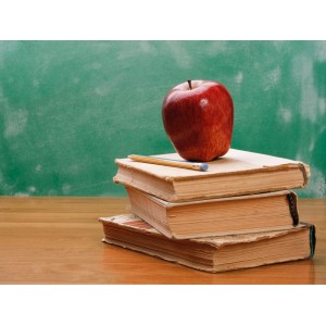 Monmouth Beach Will Seek Its Own Business Administrator After Former Shore Regional's Resigns