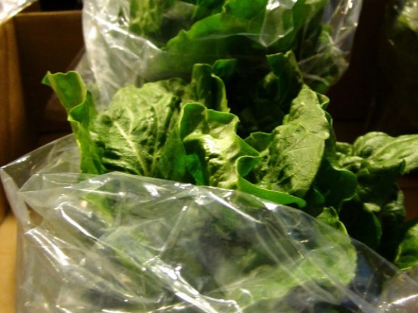 'Go Green' This March With Your Diet