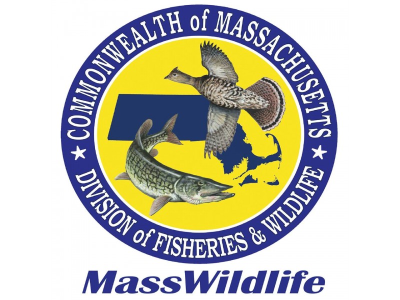 Mass. Hunting, Fishing Licenses Now Available Westborough, MA Patch