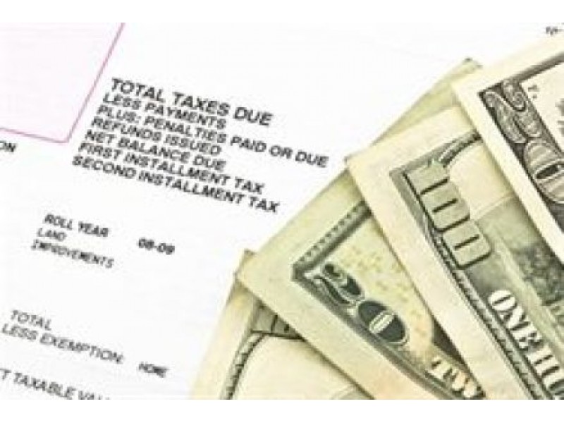 Tax Cut State Program