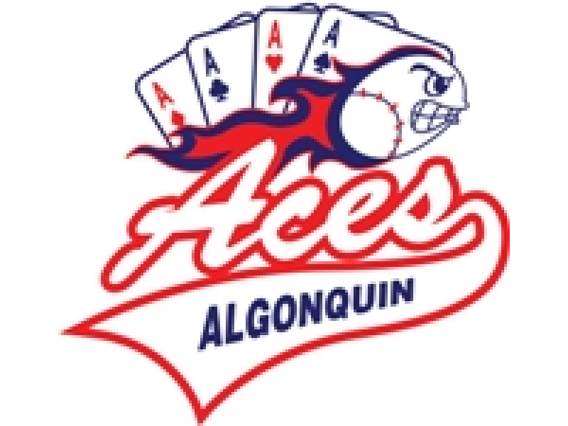 Algonquin Aces 2013/14 Fastpitch Travel Softball AlgonquinLake In The Hills, IL Patch