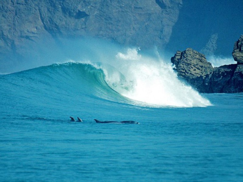 Resultado de imagem para ver imagens linda do mar