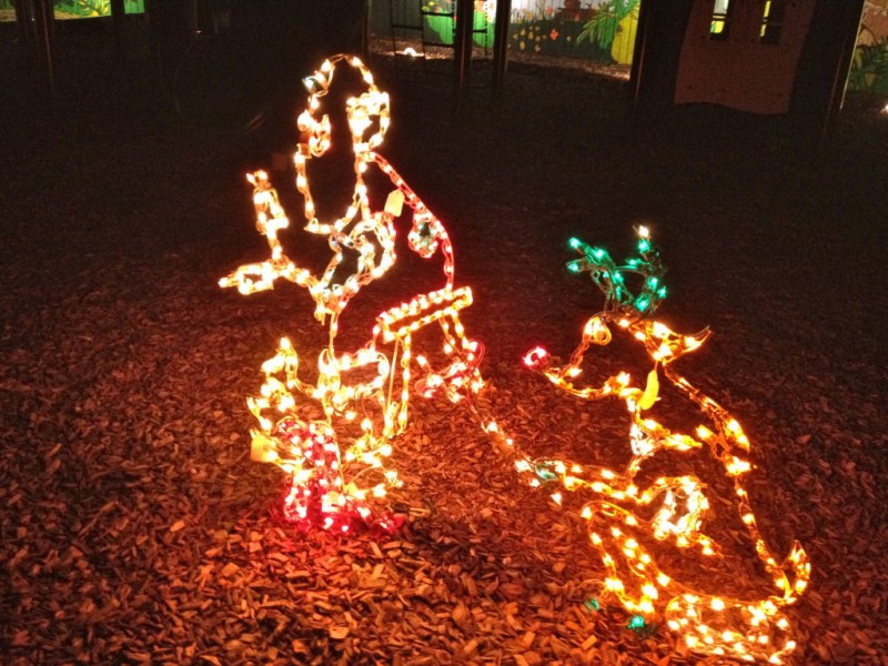 holiday lights at jungle gardens continues patch holiday lights at jungle gardens continues patch