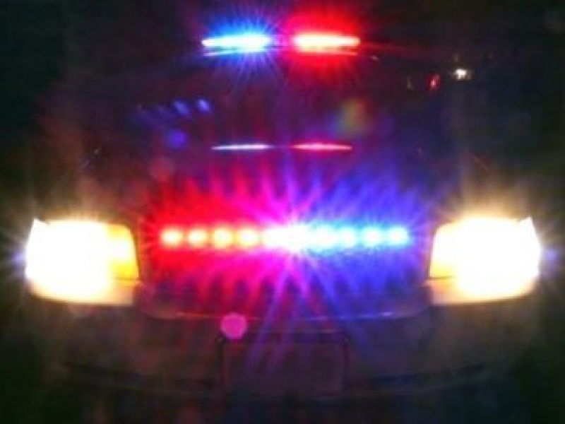 Michigan Man Facing Multiple Felony B&E Charges in Melrose