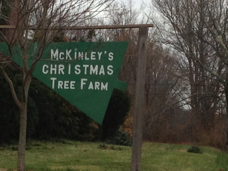 small business profile bob mckinley s christmas tree farm small business profile bob mckinley s christmas tree farm