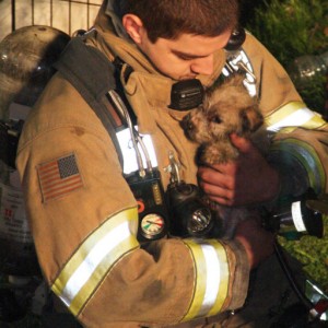 Firefighters Rescue, Revive 20 Dogs from House Fire | Lawrenceville, NJ ...