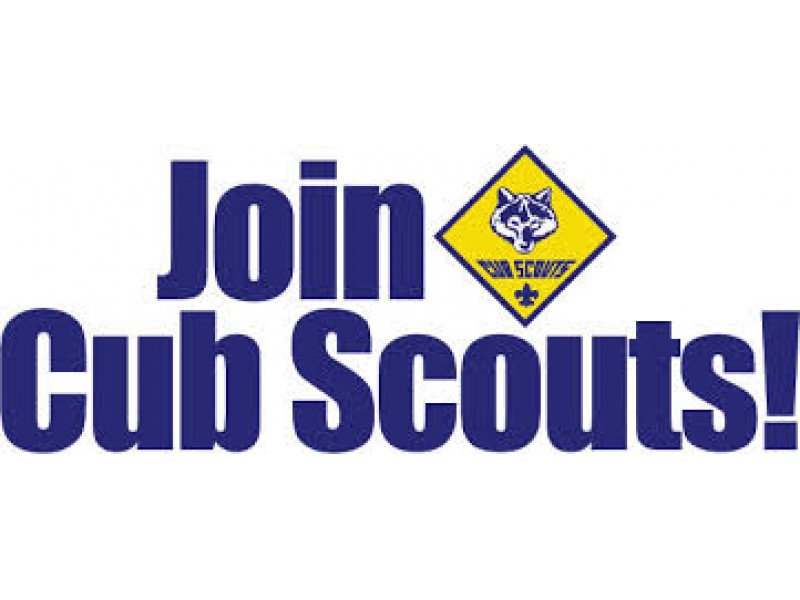 Download Placement Recruiter Cub Scout Patch free - blogscomedy