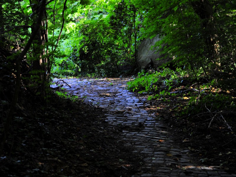 No. 97 Hike in Welwyn Preserve Glen Cove, NY Patch