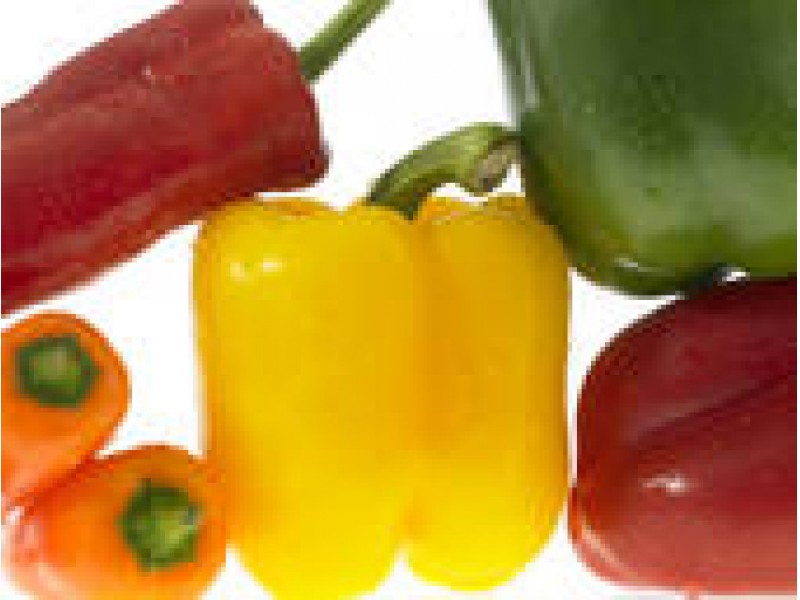 Vegetable Garden Ideas For Minnesota consider these heat, drought tolerant vegetables for your garden Vegetable Garden Ideas For Minnesota consider these heat, drought tolerant vegetables for your garden