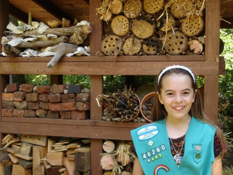 Bellevue Girl Scout Designs Winning Home for Bees and Bats Bellevue, WA Patch