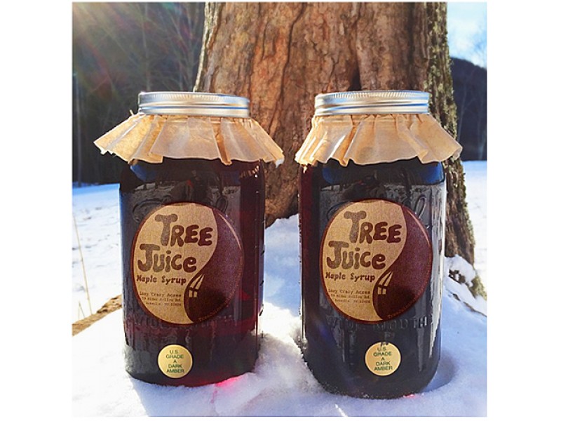 Special Visit: Tree Juice Maple Syrup - Pleasantville, NY Patch