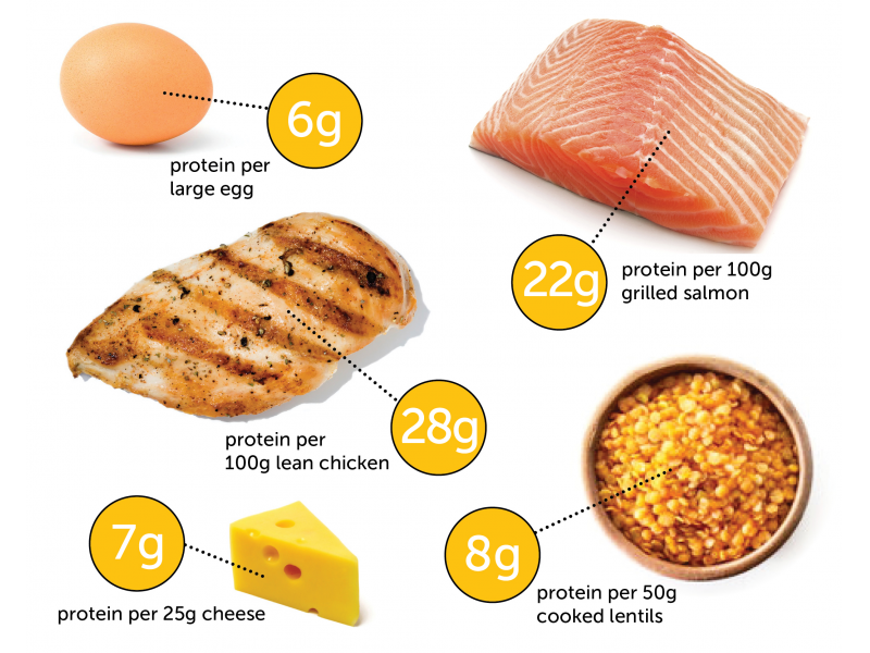 percentage of carbs protein and fat