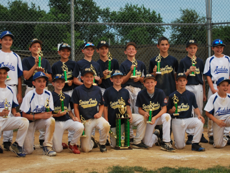Spring ford youth athletic league baseball #3