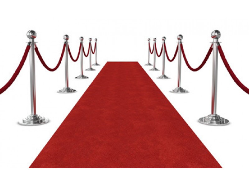 walk-the-red-carpet-for-a-cause-middletown-ct-patch