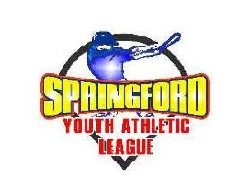 Spring ford youth athletic league baseball #4