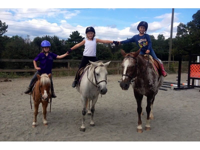 Go With It Farm Offers Horseback Riding Summer Camp For Kids - Johns ...