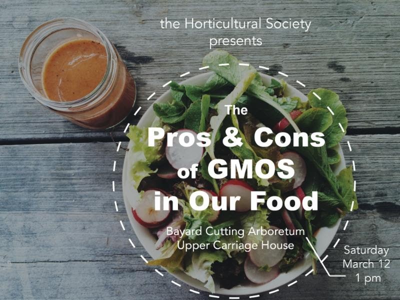 The Pros And Cons Of GMO's (Genetically Modified Organisms) | Sayville ...