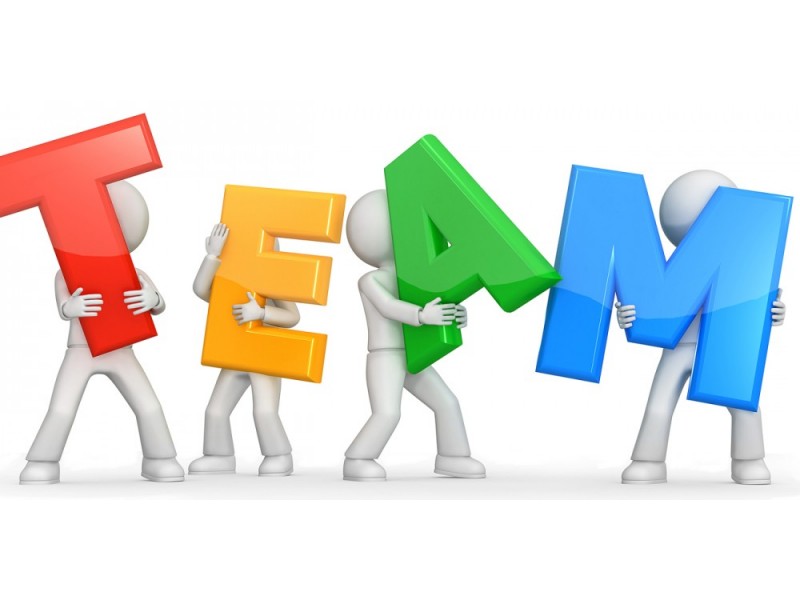 Building Your Dream Team: The Path to a Successful... | Patch