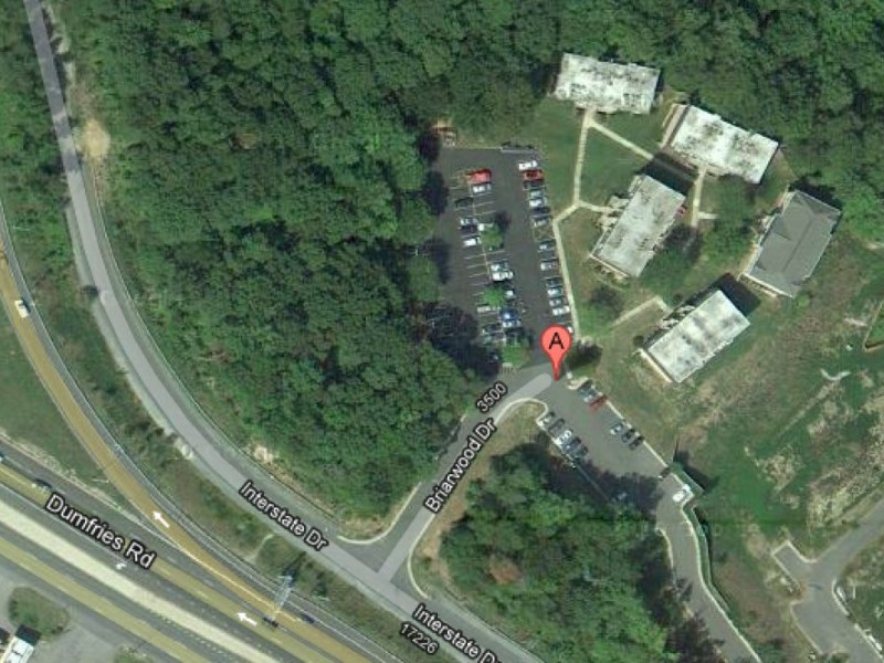 Bear Spotted in Dumfries Tuesday Woodbridge, VA Patch