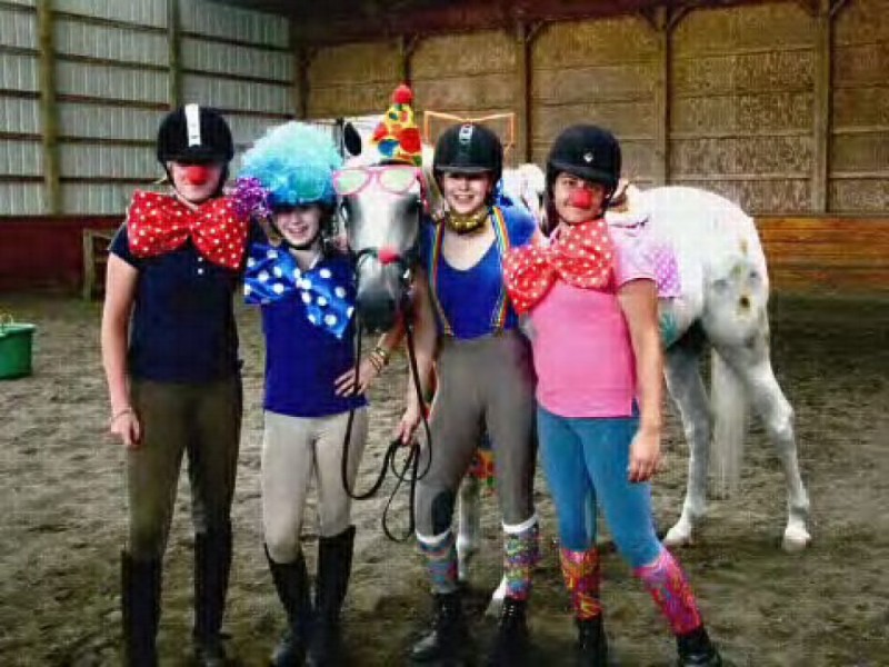 Ridgefield Day Camp for the Horse Enthusiast Ridgefield, CT Patch