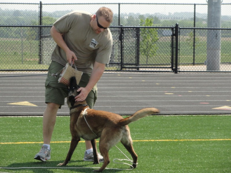 belgian sheepdog national specialty 2018 woodbury police department to host k 9 trials woodbury mn patch belgian sheepdog national specialty 2018 woodbury police department to host k 9 trials woodbury mn patch