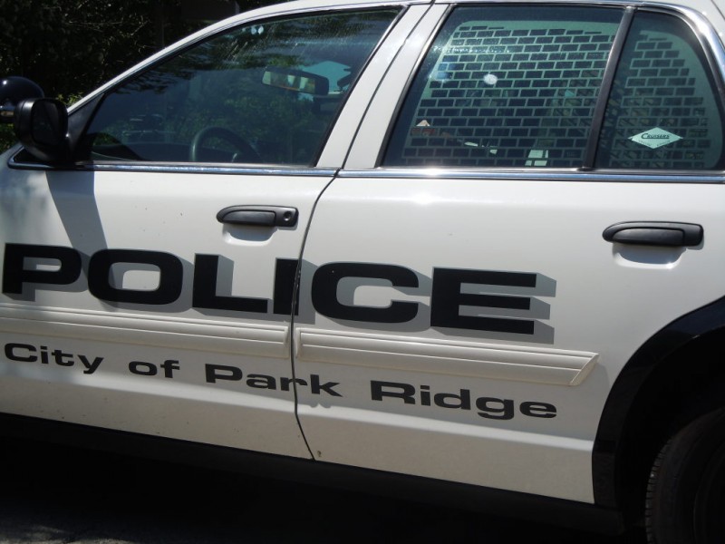 Park Ridge Police Blotter DUIs, Battery and More Park Ridge, IL Patch