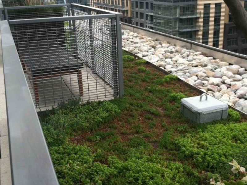 dc-offers-rebates-on-green-roof-installation-georgetown-dc-patch
