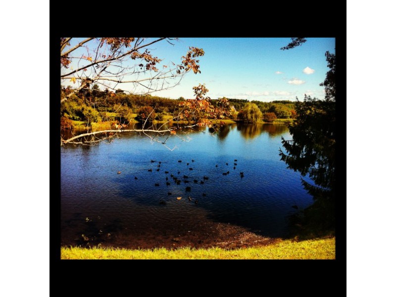 Where to Pick Apples Fresh off the Trees Near Middletown - Middletown