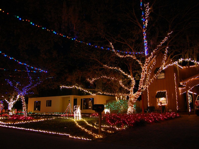 temple terrace holiday lights mouthtoears com temple terrace holiday lights mouthtoears com