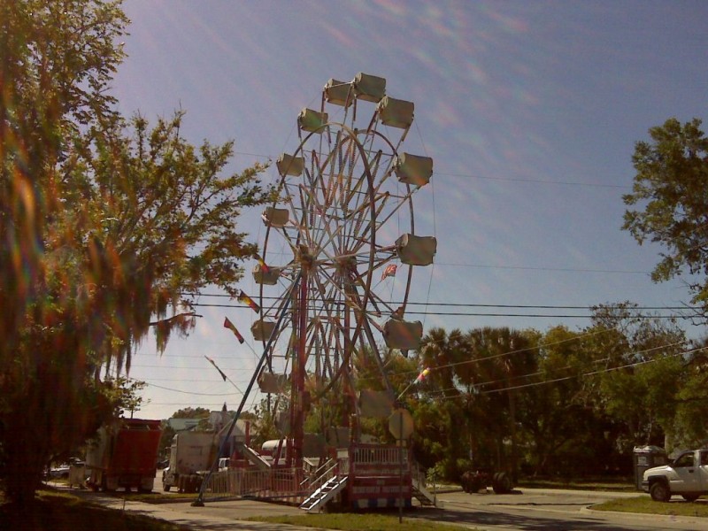 Palm Harbor Citrus Festival Schedule Palm Harbor, FL Patch