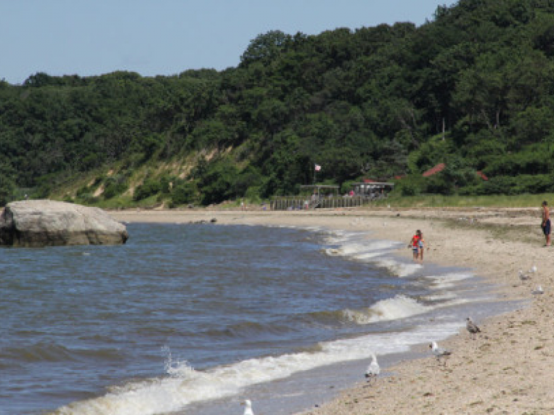 Dredging Of Nissequogue River To Replenish Short Beach Smithtown NY   982e8a31a8ee12946a52ae3a4274b5a3 