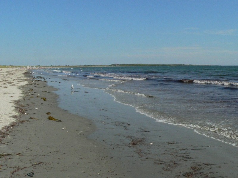 Is Red Tide Taking Over Middletown Beaches? - Middletown, RI Patch