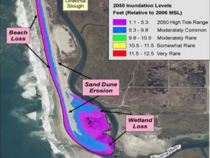 Maps of San Diego Coast Show Sea Level Rise by 2050