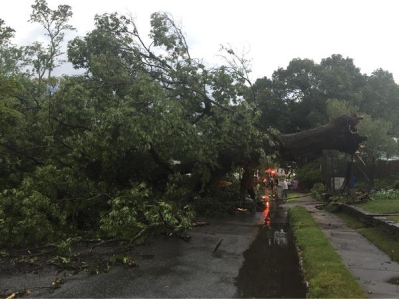 Widespread Damage after Severe Thunderstorm