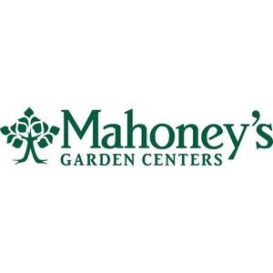 Mahoney S Garden Center Tewksbury Slubne Suknie Info