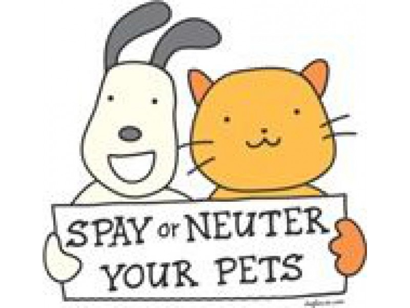 Quite spay. Spay. Neuter. Nasoval Spay. World Spay Day.