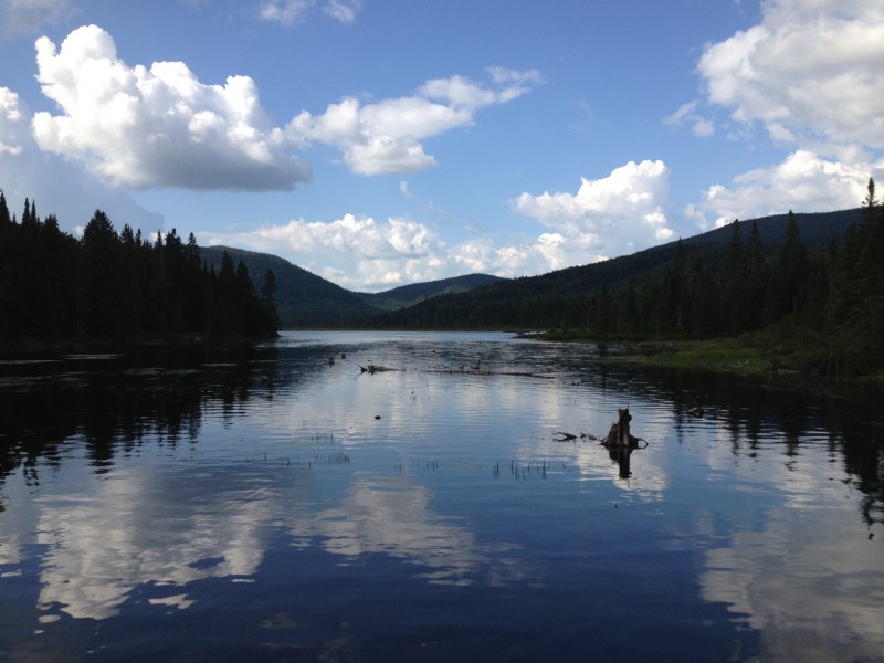 Explore the Great North Woods with Audubon | Concord, NH Patch