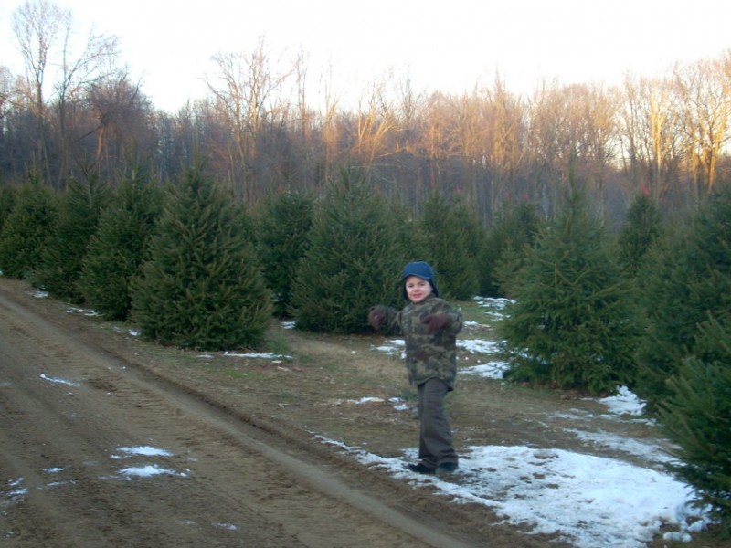 nj s cut your own christmas tree farms mahwah nj patch nj s cut your own christmas tree farms mahwah nj patch