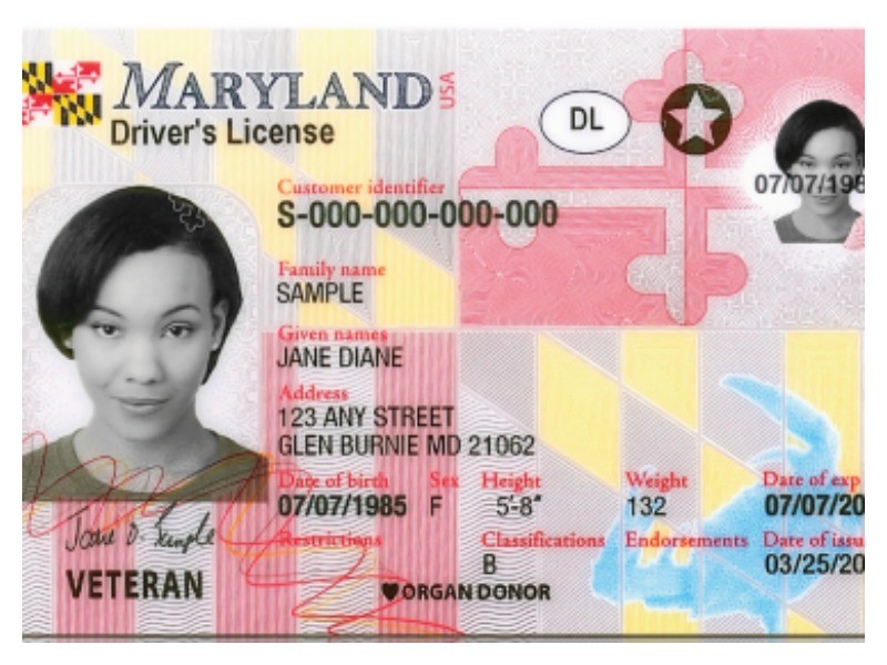 Big Maryland Drivers License Changes for Fraud Protection ...