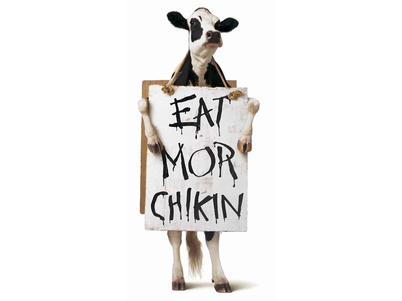 Oswego Police Chick Fil A Team Up For Cops N Cows Oswego IL Patch
