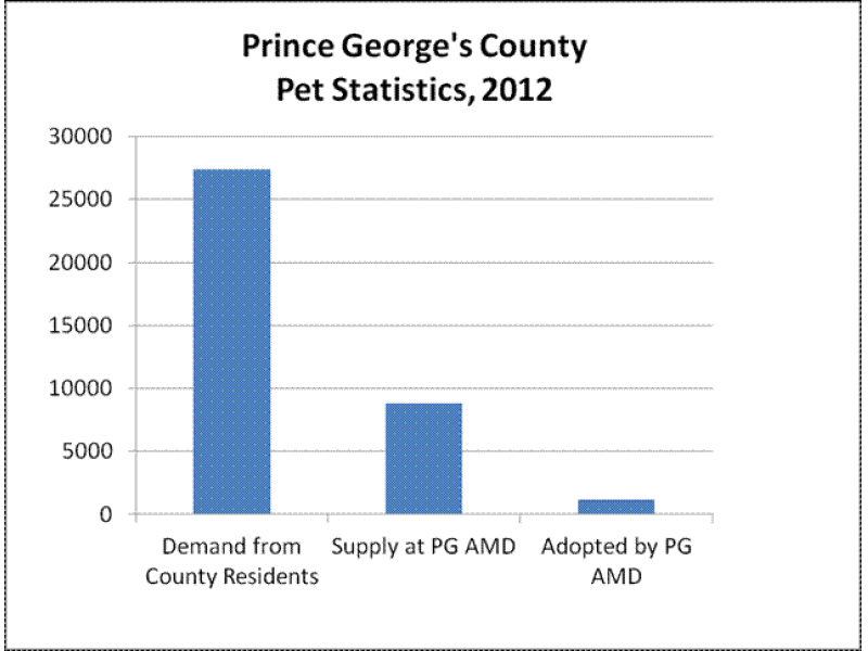 Examining the "Pet Overpopulation Problem" Upper Marlboro, MD Patch